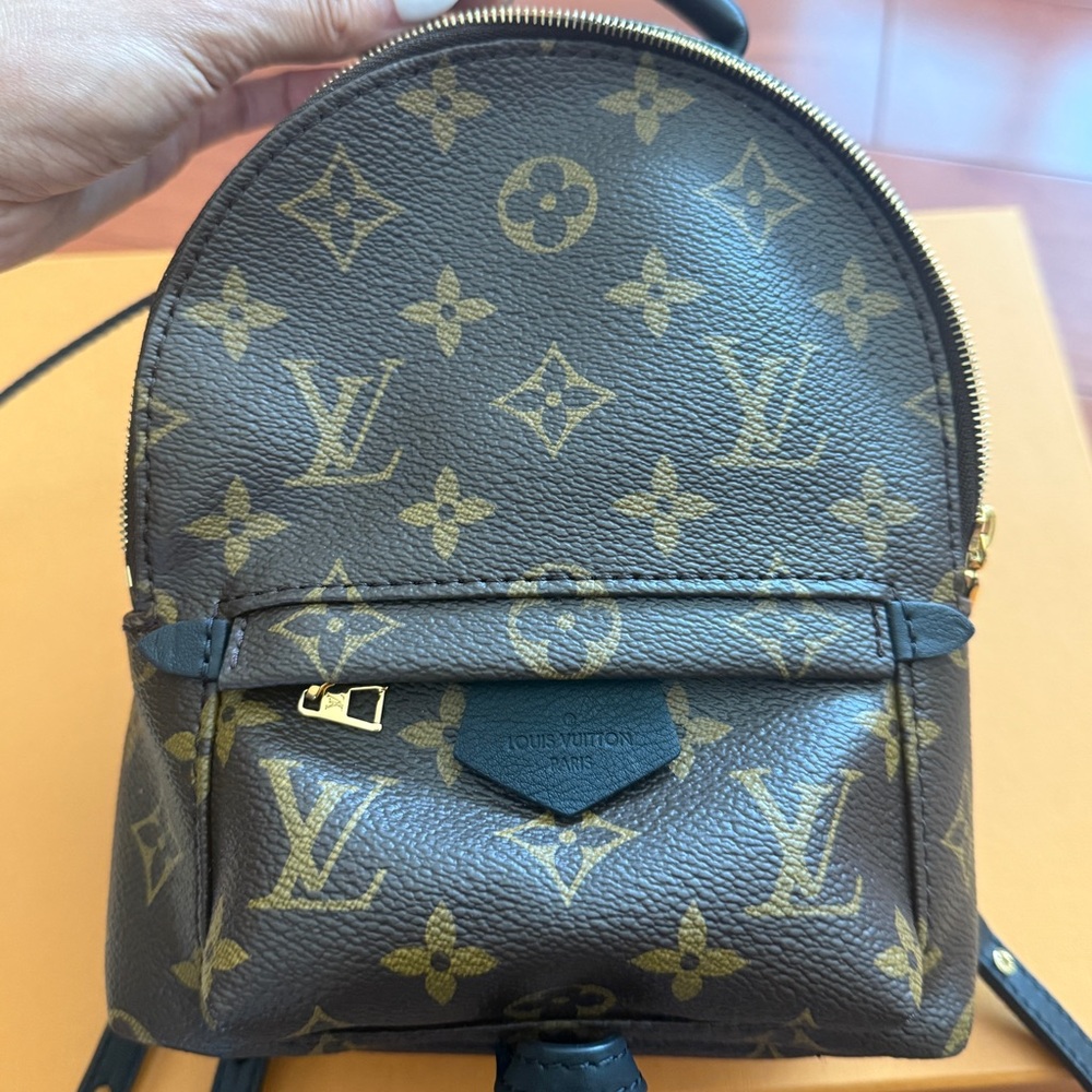 Louis Vuitton Palm Springs Mini Backpack